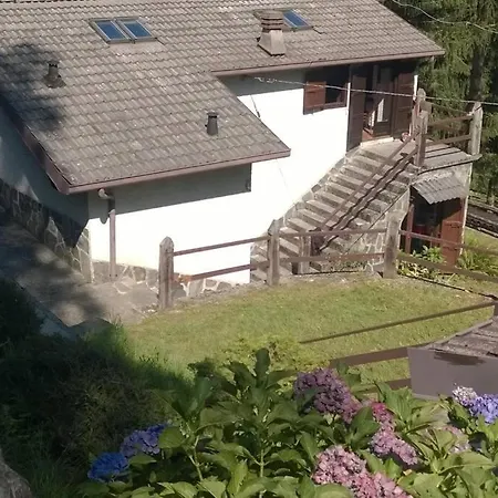 Holiday home La Casa Nel Bosco - Your Mountain